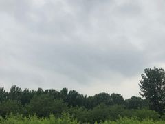 -御林古桑园