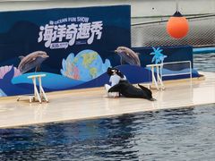 -秦皇岛乐岛海洋王国