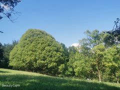 -生态园山庄(森林公园店)