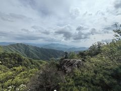 -王顺山国家森林公园