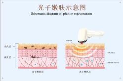 -Cream88颜皮肤管理中心