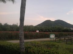 -亚龙湾国际玫瑰谷