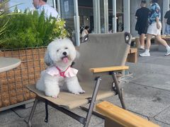 -SAANCI山池咖啡(海上世界文化艺术中心店)