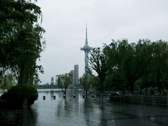 -聚龙湖公园