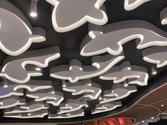 -阿五黄河大鲤鱼(海尚店)