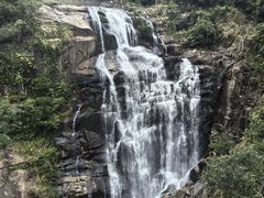 -海南热带雨林国家公园吊罗山景区