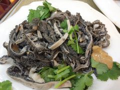 -杨记小骨头羊杂馆(南五马路店)