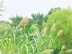 -无锡动物园·太湖欢乐园