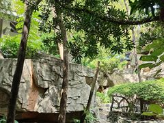 -海口观澜湖火山温泉谷