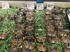 -盒马鲜生(顺义店)