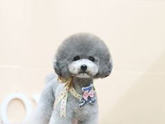 -惠康宠物医院(华能路店)