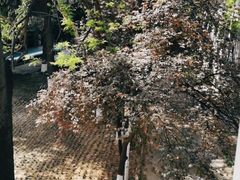-雕刻时光咖啡馆(师大路店)