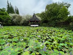-上海醉白池公园
