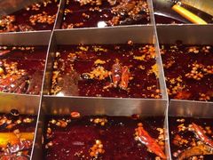 -宽田火锅 宽田有鱼江津青花椒鱼火锅(几江荣华店)