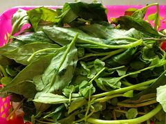 -15年老字号鑫鑫猪肚鸡·椰子鸡海南火锅(兴隆华侨农场店)