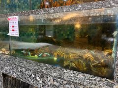 -宝燕壹号(徐汇店)