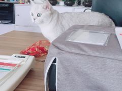 -青春加萌照相馆