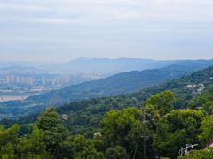 -南山植物园