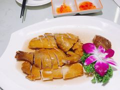 -南枝记