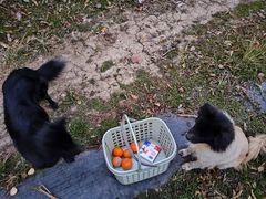 -尚果生态采摘园