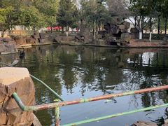 -八大山人梅湖景区
