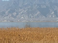 -野鸭湖国家湿地公园