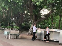 -玫瑰园餐厅
