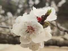 -濂泉响谷