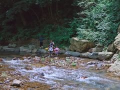 -北仑森林植物园