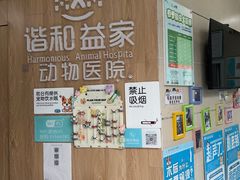 -谐和益家动物医院·免疫绝育·血液透析·宠保定点医院(高新伊藤分院)