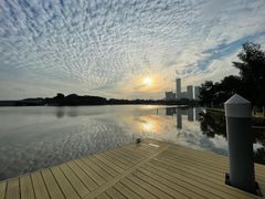 景点-华侨城湿地公园