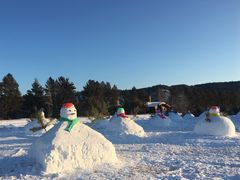 -北极村旅游风景区