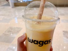 -Wagas沃歌斯(武汉恒隆广场店)