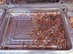 餐饮设施-雅安上里古镇