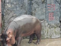 -贵州森林野生动物园