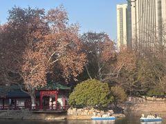 -小户人家(循礼门南国中心店)