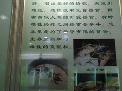 -上海昆虫博物馆