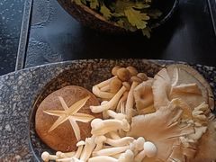 -哥老官重庆美蛙鱼头(虹口龙之梦店)