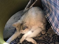 -不舍昼夜咖啡馆