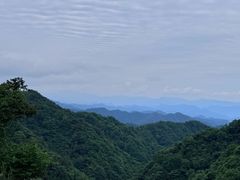 -狮子沟牧场