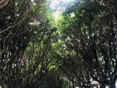 -北部湾广场