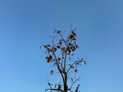-白石龙音乐公园