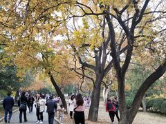 -香山公园-东宫门售票处