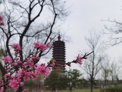 -西海子公园