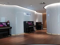 -雅马哈乐器专卖店(广州旗舰店)