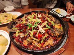 -老板恋上鱼(恒隆广场店)