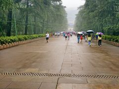 -紫金山山顶公园