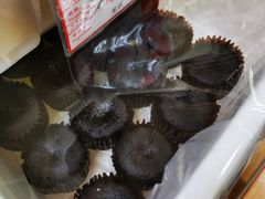 -百年义利(黄寺大街店)