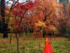 -国家植物园南园