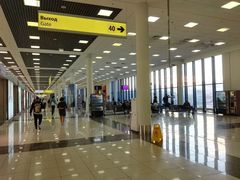 -谢列梅捷沃国际机场